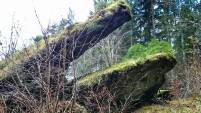 Der Drachenfels im Klumpertal bei Pottenstein - Fränkische Schweiz