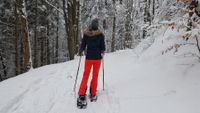 Schneeschuhwandern in Pottenstein